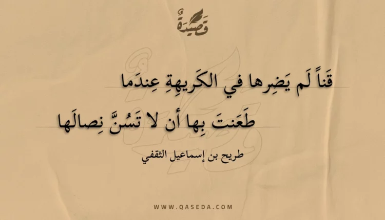 قصيدة قنا لم يضرها في الكريهة عندما