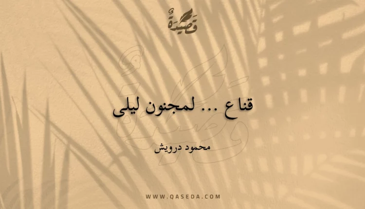 قصيدة قناع ... لمجنون ليلى