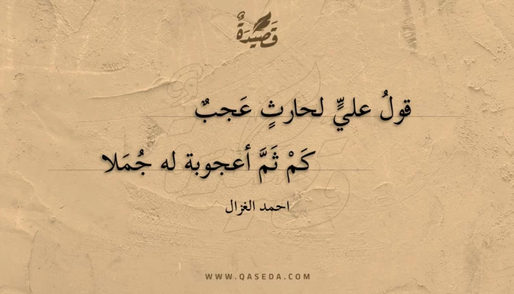 قصيدة قول علي لحارث عجب