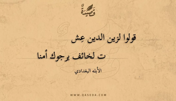 قصيدة قولوا لزين الدين عشت