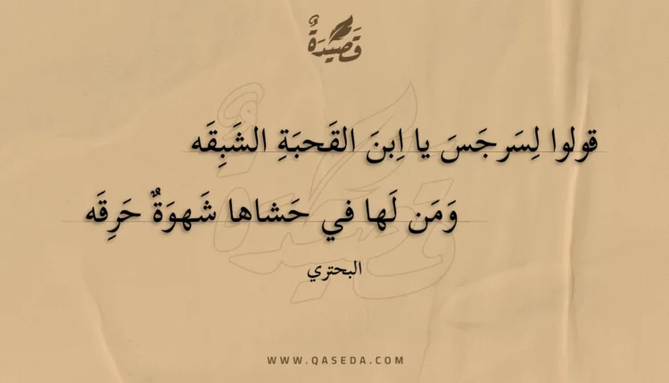 قصيدة قولوا لسرجس يا ابن القحبة الشبقه
