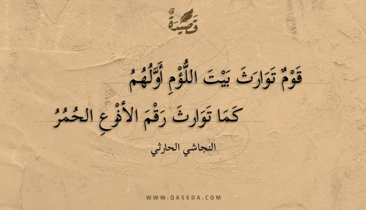 قصيدة قوم توارث بيت اللؤم أولهم