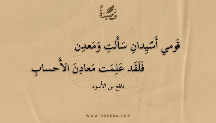 قصيدة قومي أسيدان سألت ومعدن
