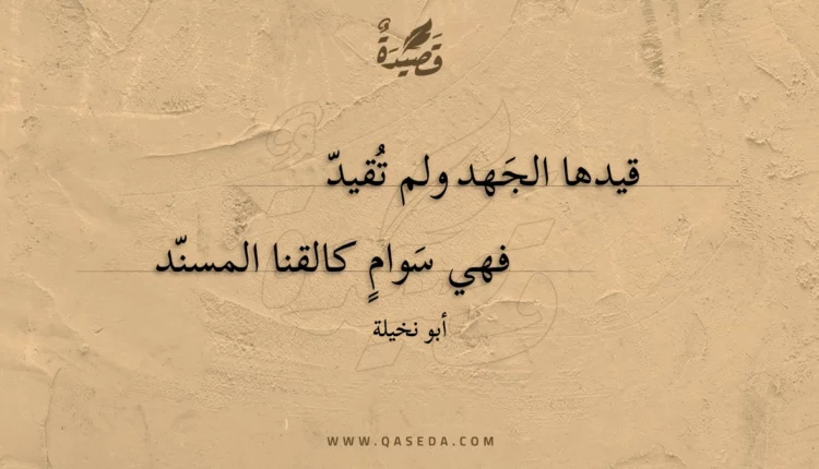 قصيدة قيدها الجهد ولم تقيد