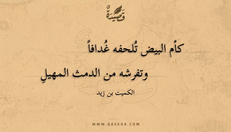 قصيدة كأم البيض تلحفه غدافا