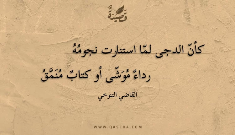 قصيدة كأن الدجى لما استنارت نجومه