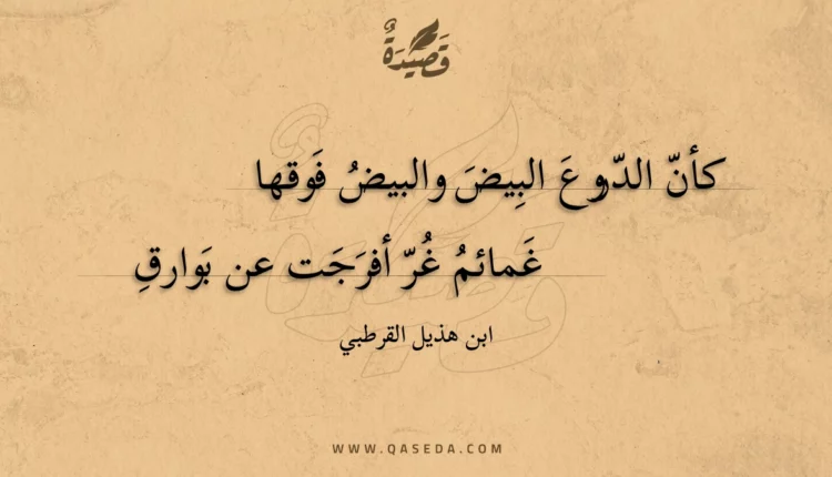 قصيدة كأن الدروع البيض والبيض فوقها