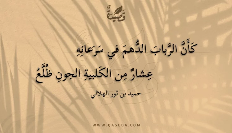 قصيدة كأن الرباب الدهم في سرعانه