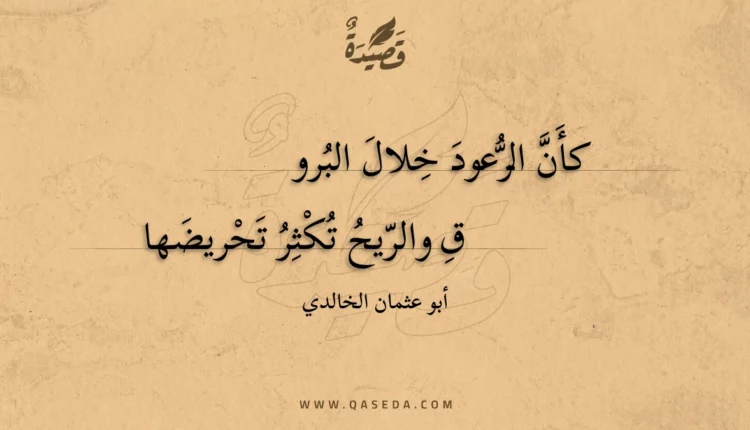 قصيدة كأن الرعود خلال البروق