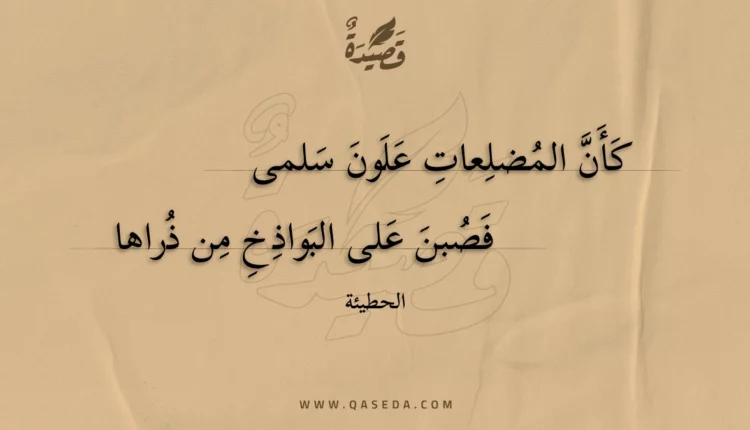 قصيدة كأن المضلعات علون سلمى