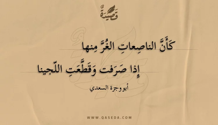 قصيدة كأن الناصعات الغر منها