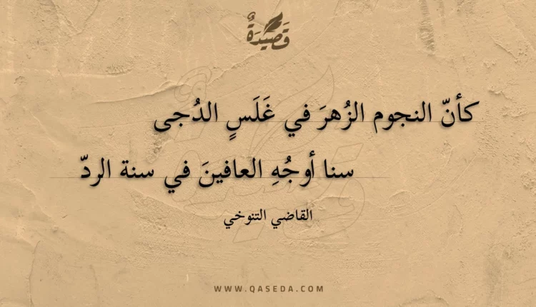 قصيدة كأن النجوم الزهر في غلس الدجى