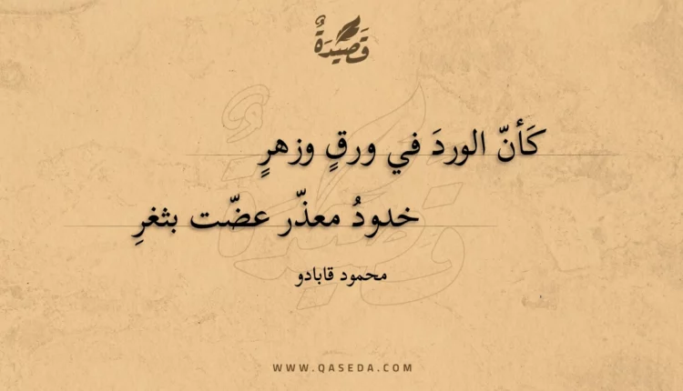 قصيدة كأن الورد في ورق وزهر