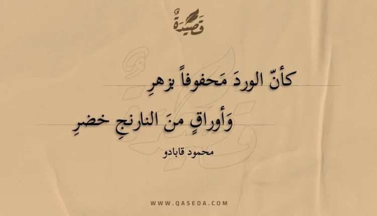 قصيدة كأن الورد محفوفا بزهر