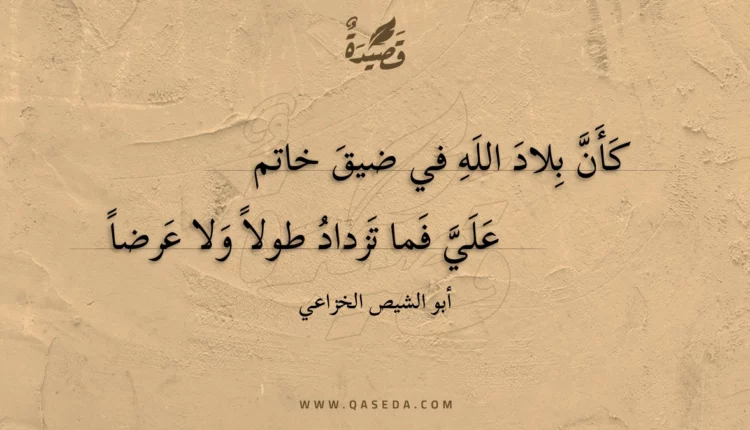 قصيدة كأن بلاد الله في ضيق خاتم
