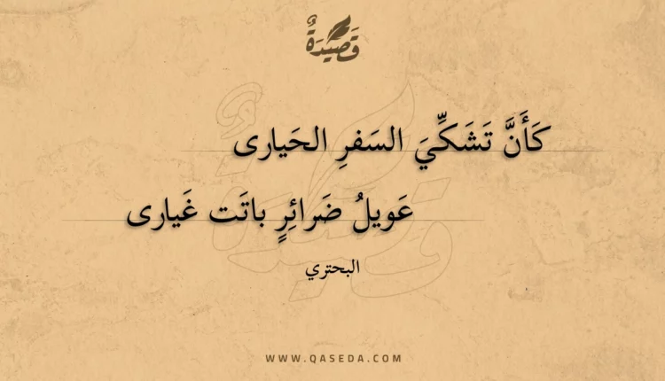 قصيدة كأن تشكي السفر الحيارى