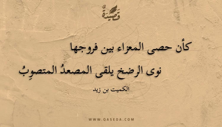 قصيدة كأن حصى المعزاء بين فروجها
