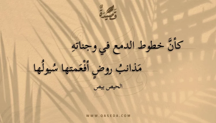 قصيدة كأن خطوط الدمع في وجناته