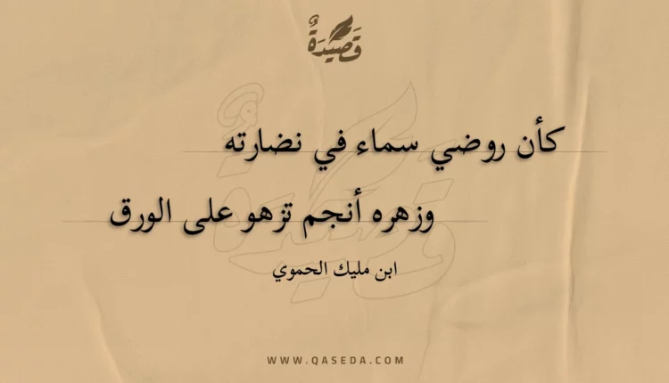 قصيدة كأن روضي سماء في نضارته
