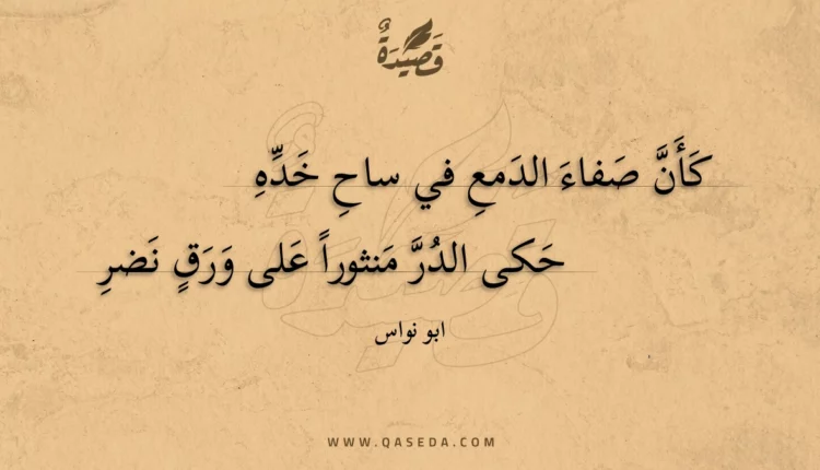 قصيدة كأن صفاء الدمع في ساح خده