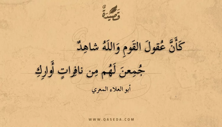 قصيدة كأن عقول القوم والله شاهد