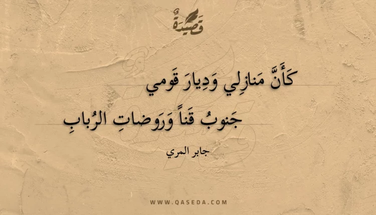 قصيدة كأن منازلي وديار قومي