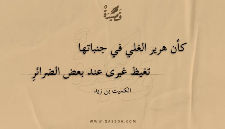 قصيدة كأن هرير الغلي في جنباتها