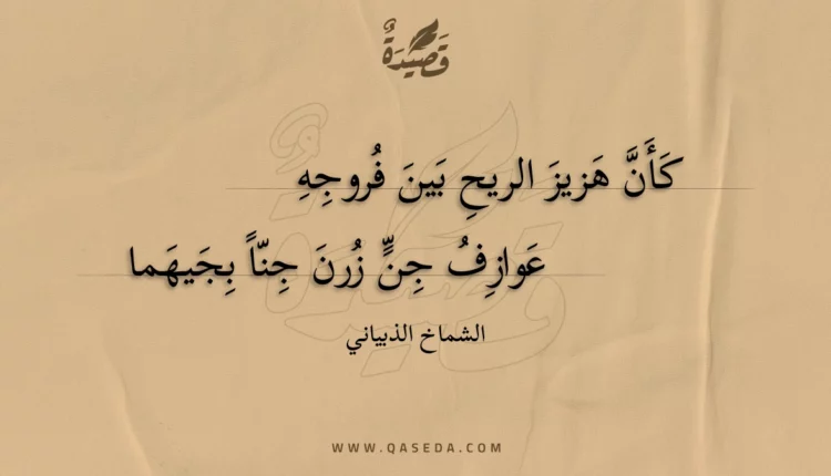 قصيدة كأن هزيز الريح بين فروجه