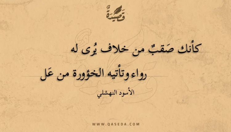 قصيدة كأنك صقبٌ من خلاف يُرى له