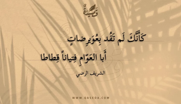 قصيدة كأنك لم تقد بعويرضات