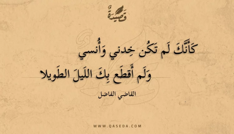 قصيدة كأنك لم تكن خدني وأنسي