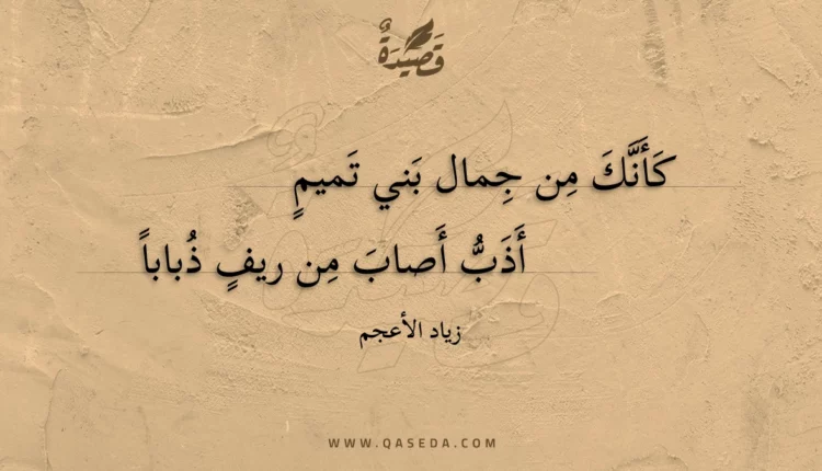 قصيدة كأنك من جمال بني تميم