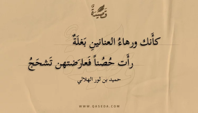 قصيدة كأنك ورهاء العنانين بغلة