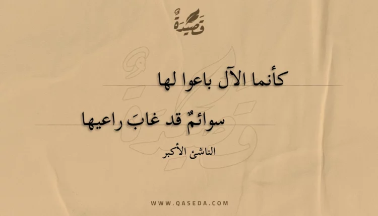 قصيدة كأنما الآل باعوا لها