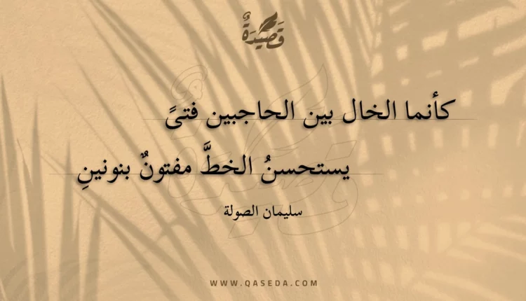 قصيدة كأنما الخال بين الحاجبين فتى
