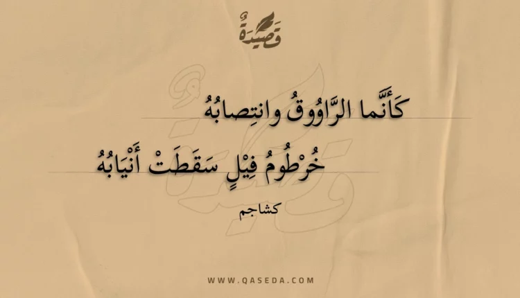 قصيدة كأنما الراووق وانتصابه