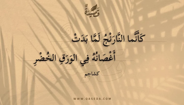 قصيدة كأنما النارنج لما بدت
