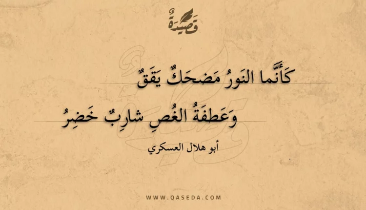 قصيدة كأنما النور مضحك يقق