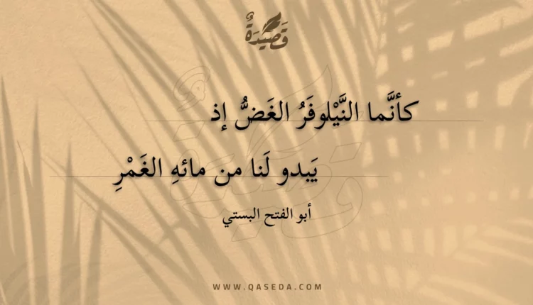 قصيدة كأنما النيلوفر الغض إذ