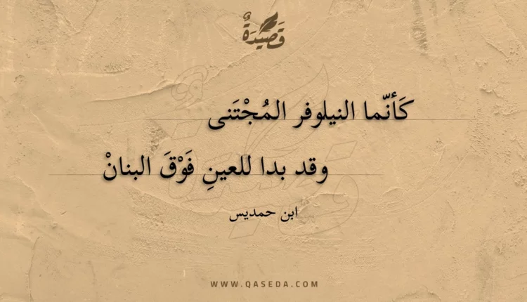 قصيدة كأنما النيلوفر المجتنى