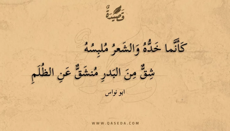 قصيدة كأنما خده والشعر ملبسه