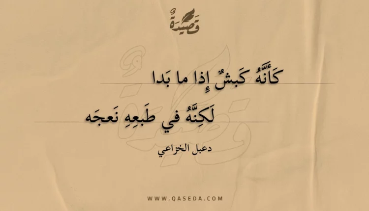قصيدة كأنه كبش إذا ما بدا