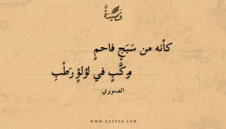 قصيدة كأنه من سبج فاحم