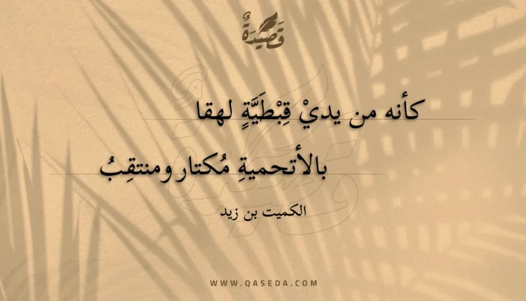 قصيدة كأنه من يدي قبطية لهقا