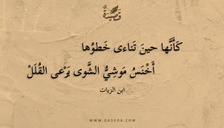 قصيدة كأنها حين تناءى خطوها