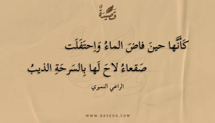 قصيدة كأنها حين فاض الماء واحتفلت