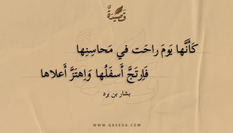 قصيدة كأنها يوم راحت في محاسنها