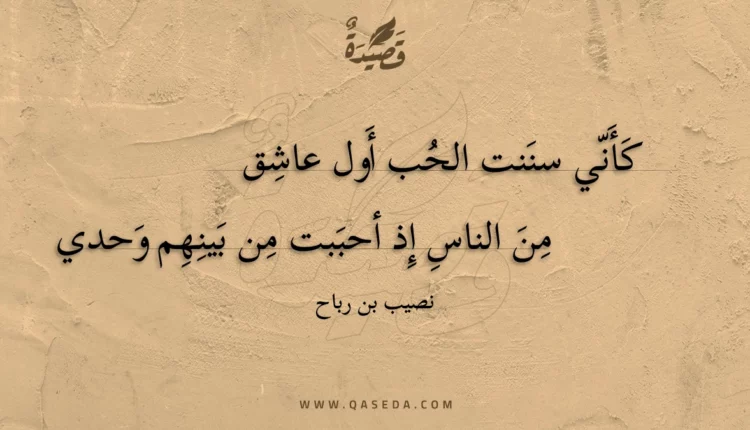 قصيدة كأني سننت الحب أول عاشق