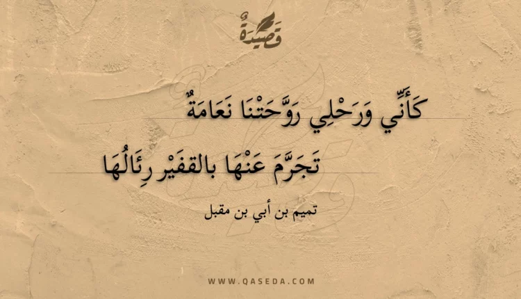 قصيدة كأني ورحلي روحتنا نعامة