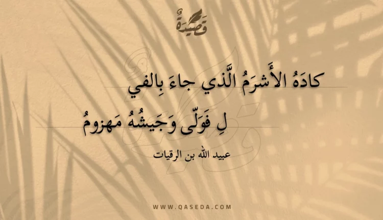 قصيدة كاده الأشرم الذي جاء بالفيل